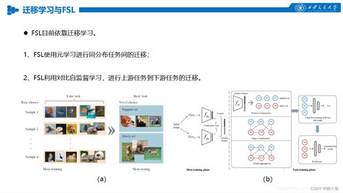 人工智能中的对比学习 算法原理与应用探索
